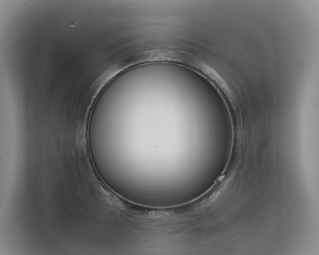 X0000111781089200907231118