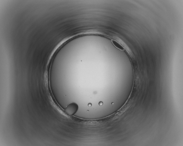 X0000111781092200907231118