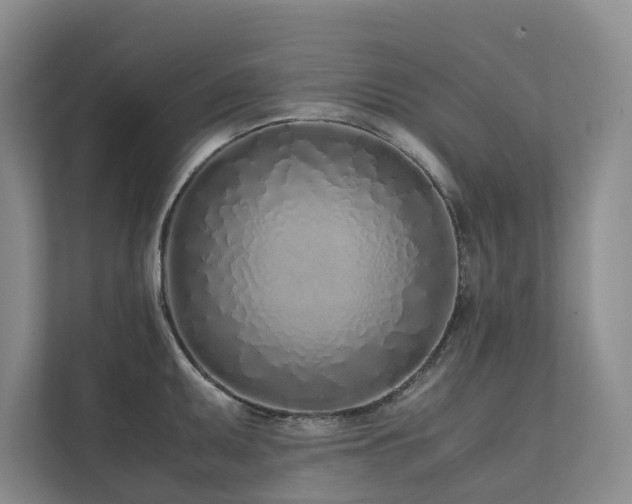 X0000111781095200907231118