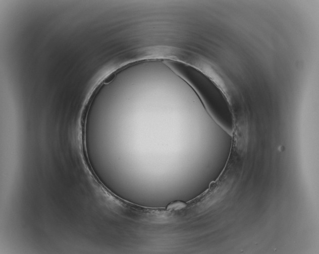 X0000111781096200907231118