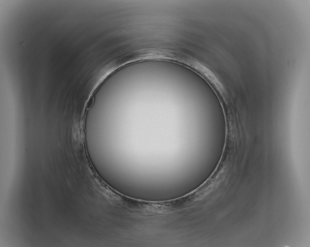 X0000111781097200907231118