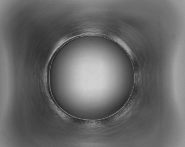 X0000111781099200907231118