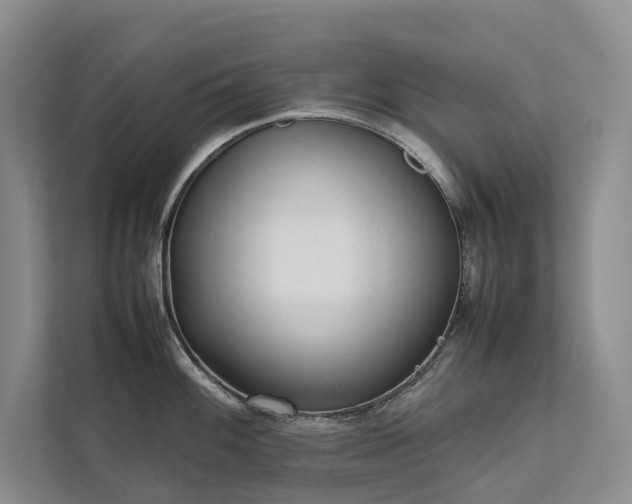 X0000111781100200907231118