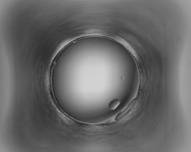 X0000111781101200907231118