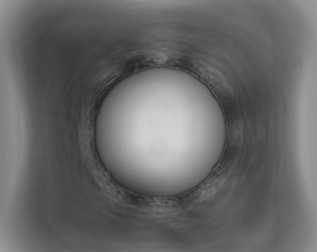 X0000111781105200907231117