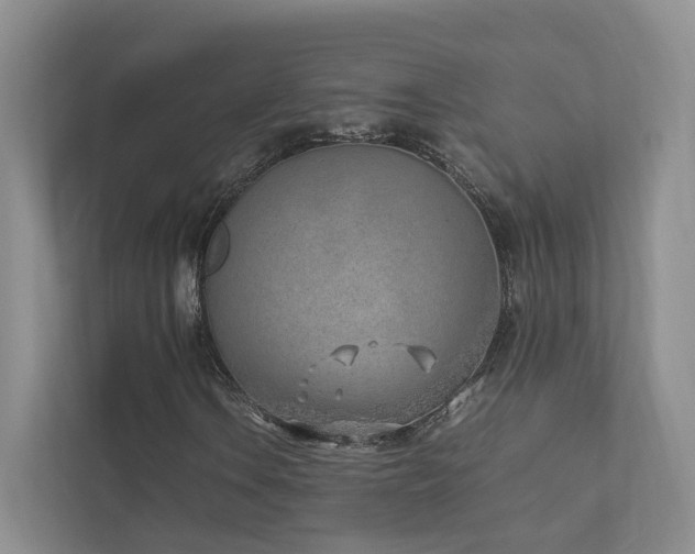 X0000111781106200907231117