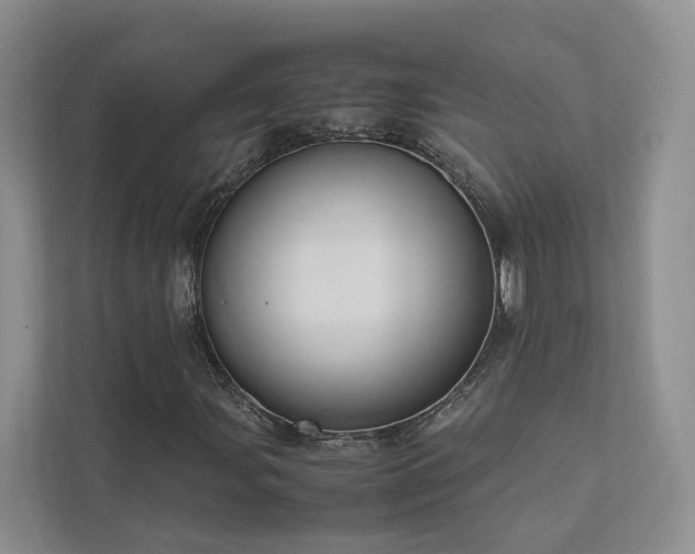 X0000111781107200907231117