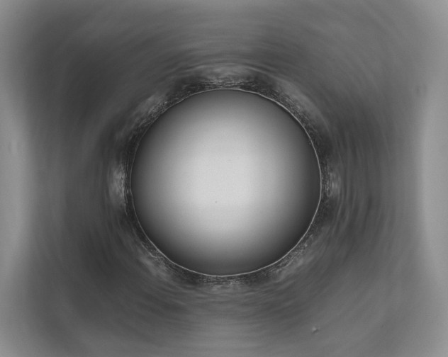 X0000111781108200907231117