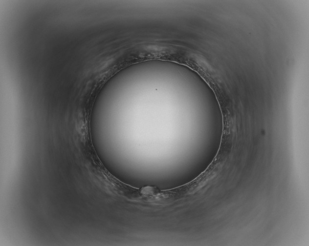 X0000111781109200907231117