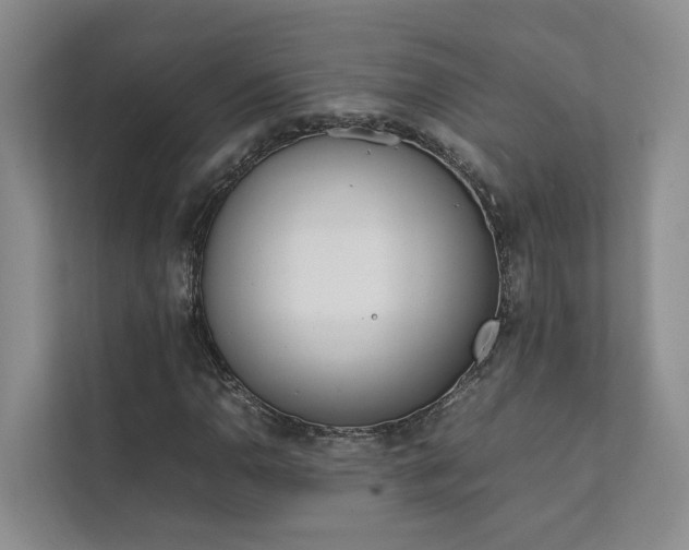 X0000111781110200907231117