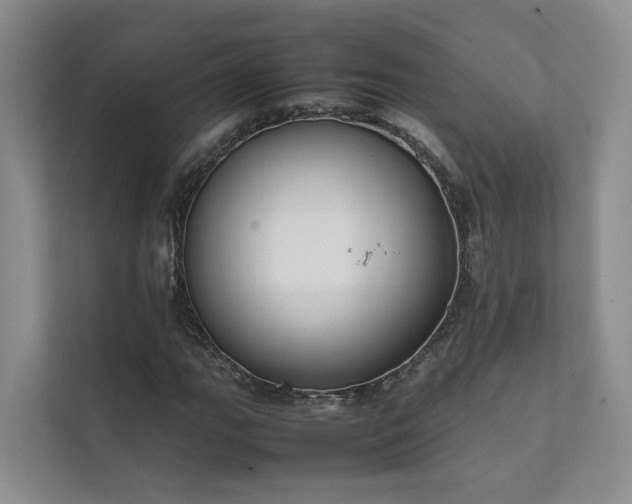 X0000111781111200907231117