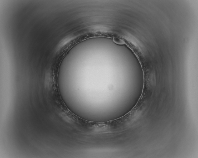 X0000111781112200907231117