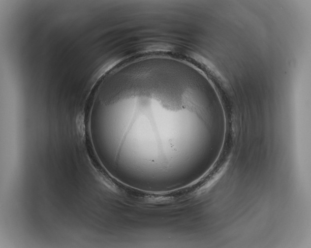X0000111781113200907231117