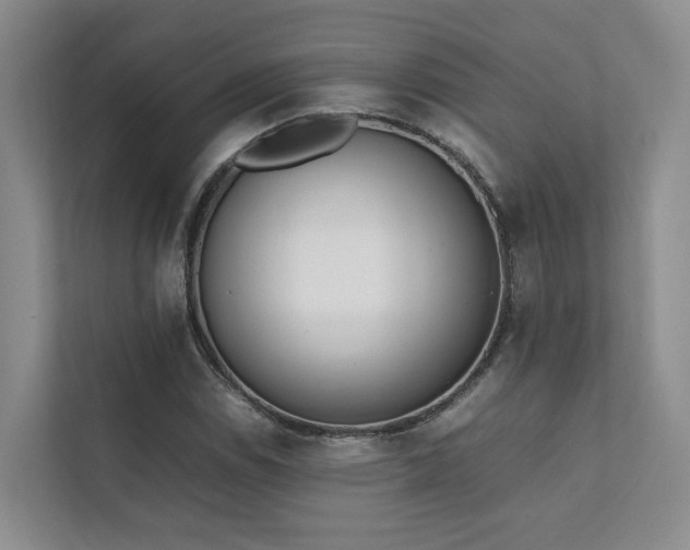 X0000111781114200907231117