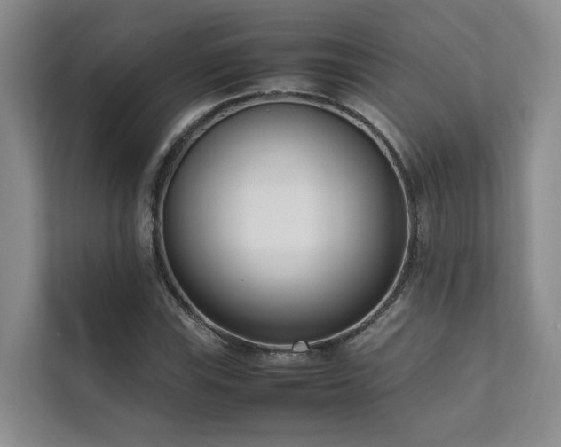 X0000111781115200907231117
