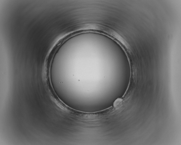 X0000111781116200907231117
