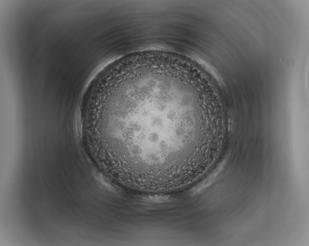 X0000111781117200907231117