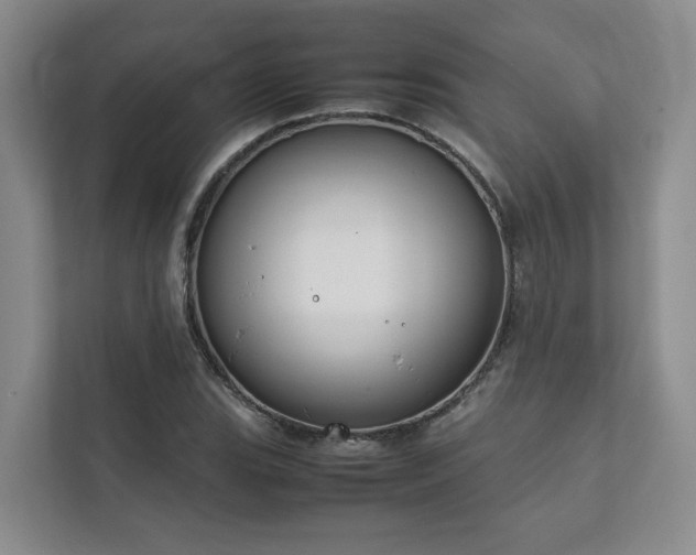 X0000111781119200907231117