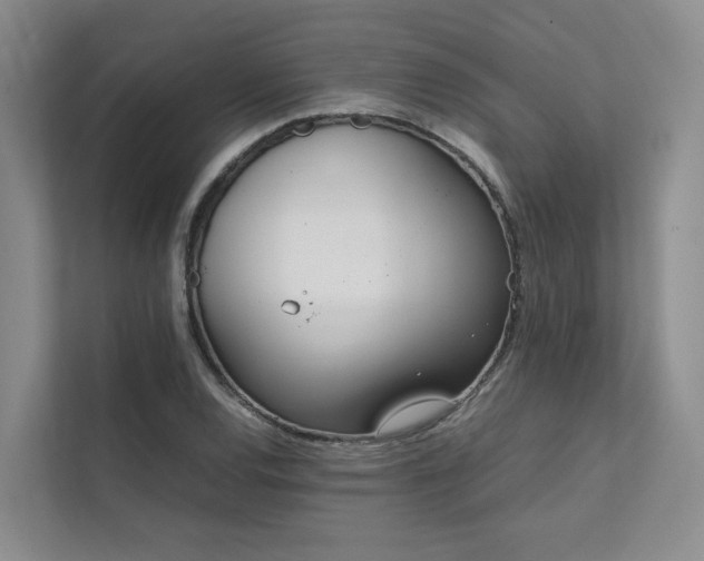 X0000111781120200907231117