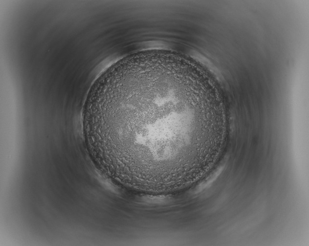 X0000111781121200907231117