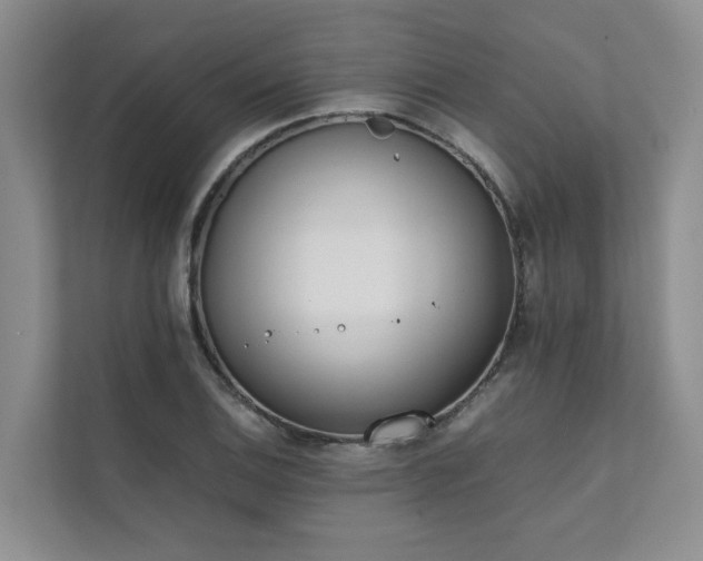 X0000111781124200907231117