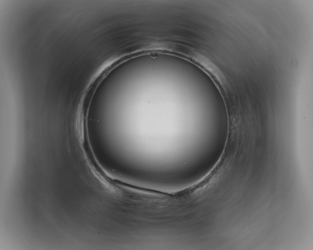X0000111781127200907231117
