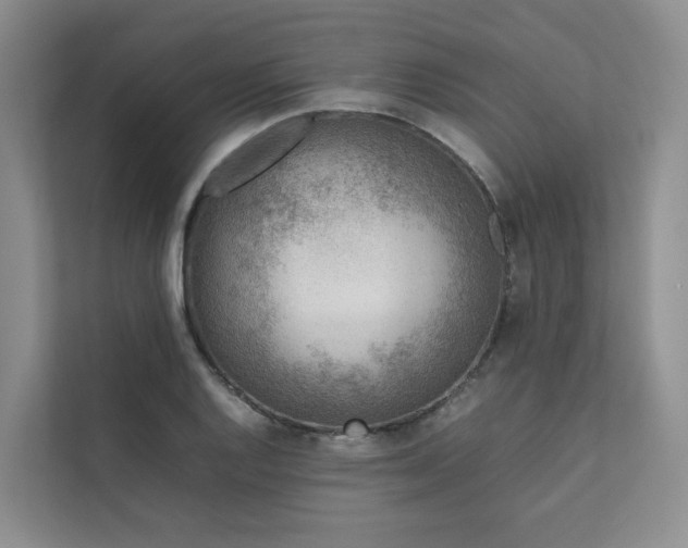 X0000111781128200907231117