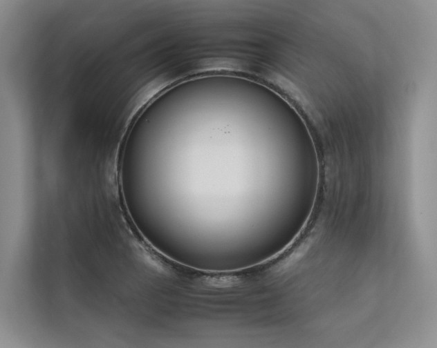 X0000111781129200907231117