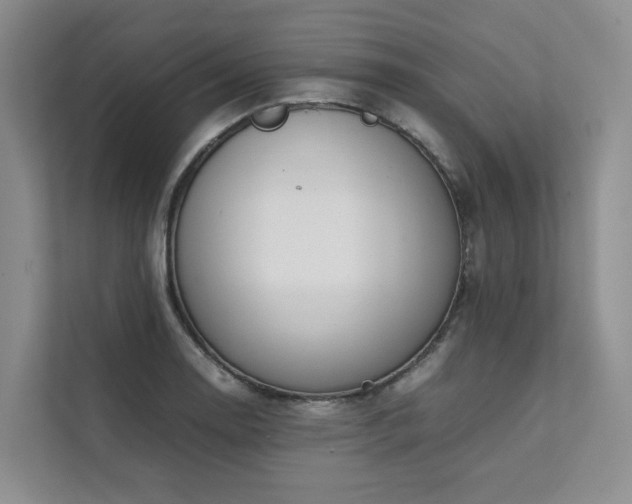 X0000111781130200907231117