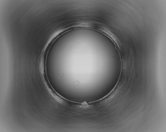 X0000111781131200907231117