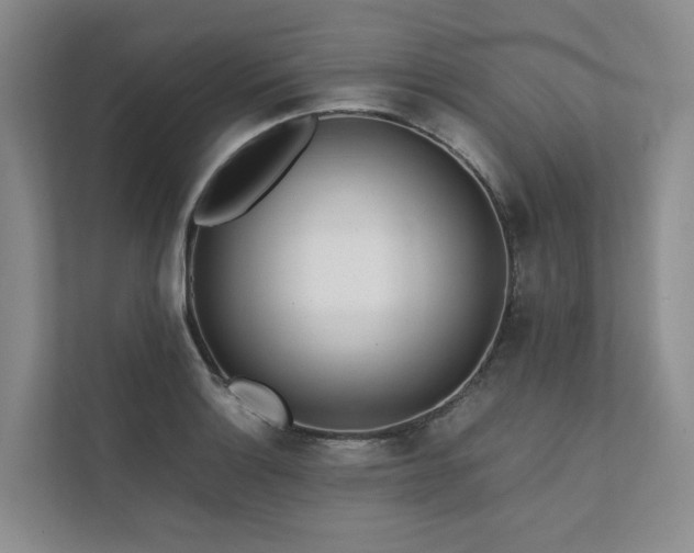 X0000111781132200907231117