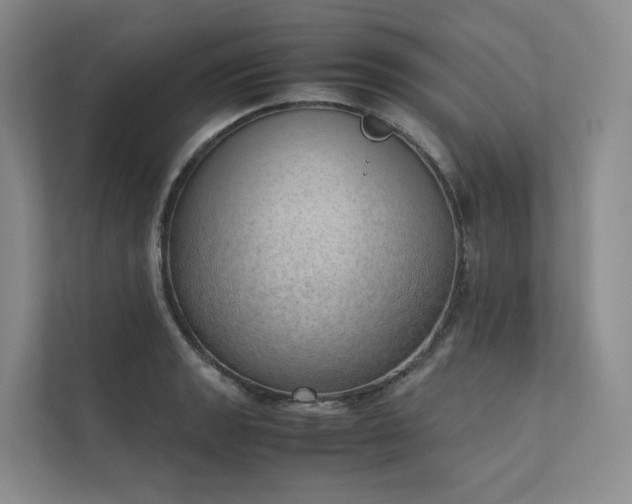 X0000111781133200907231117