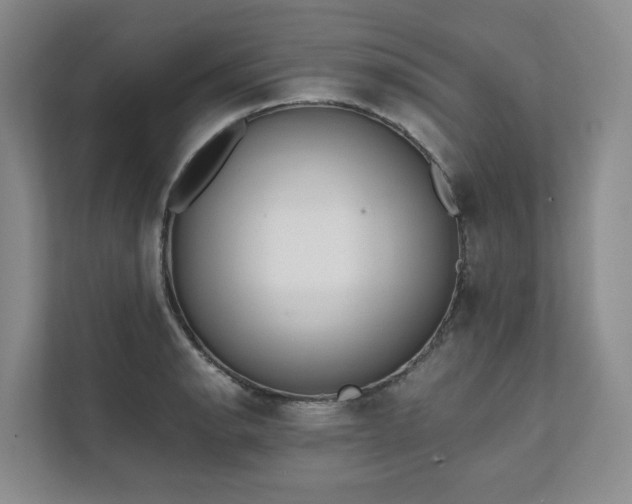 X0000111781134200907231117