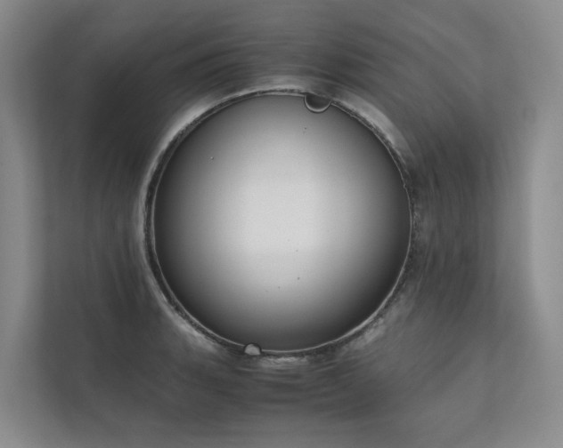 X0000111781135200907231117