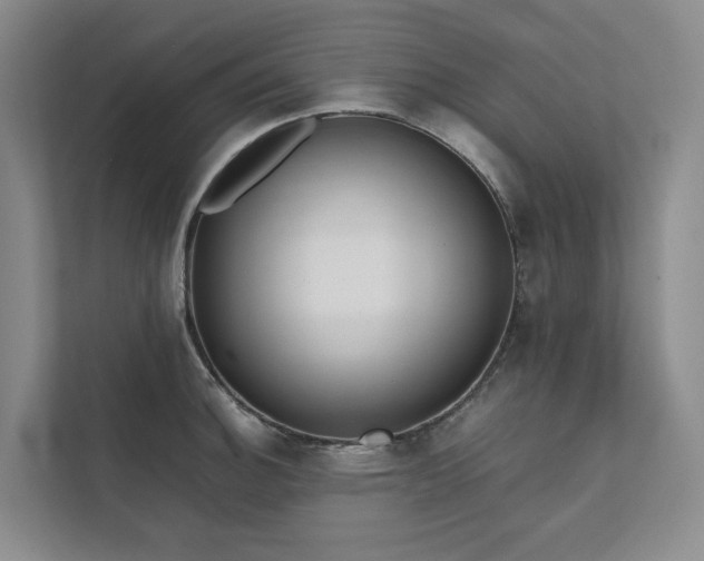 X0000111781140200907231117