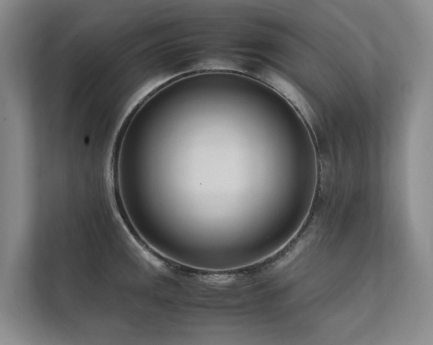 X0000111781141200907231117