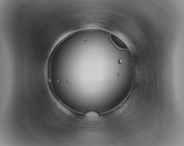 X0000111781142200907231117