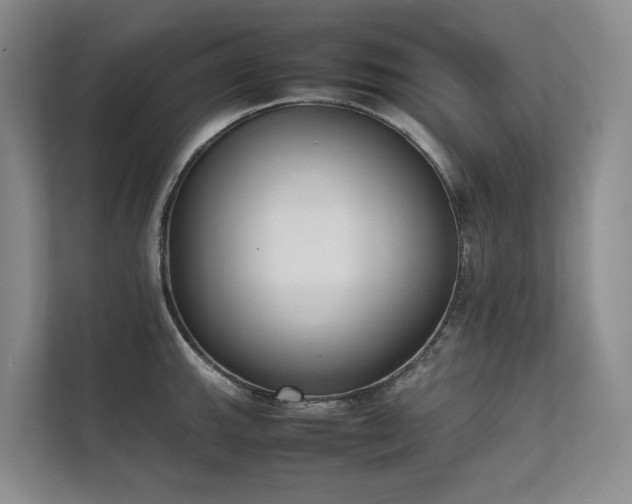 X0000111781143200907231117