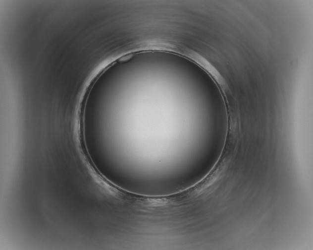 X0000111781144200907231118