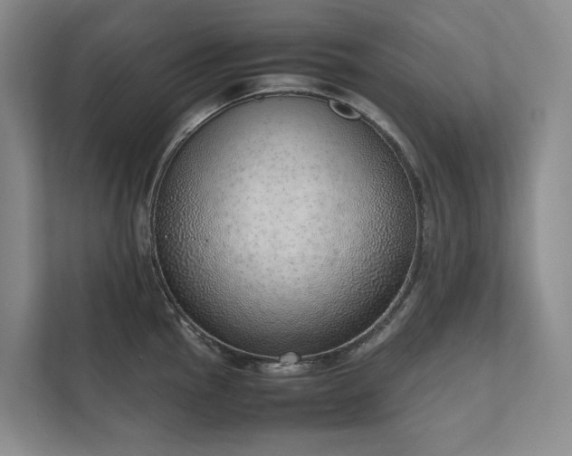 X0000111781145200907231118