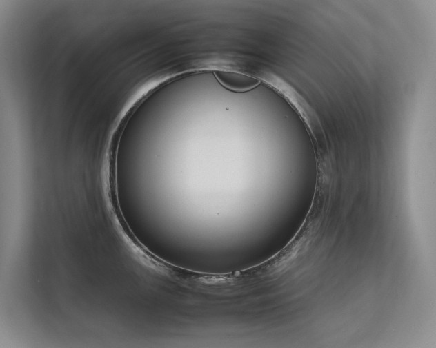 X0000111781147200907231118