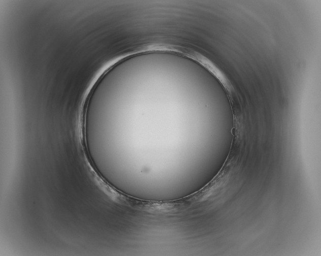 X0000111781148200907231118