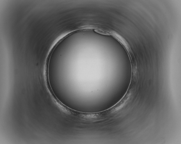 X0000111781149200907231118