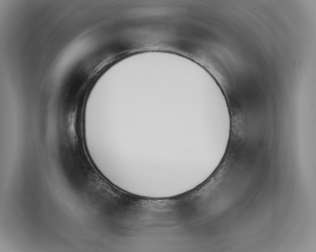 X0000111781150200907231118