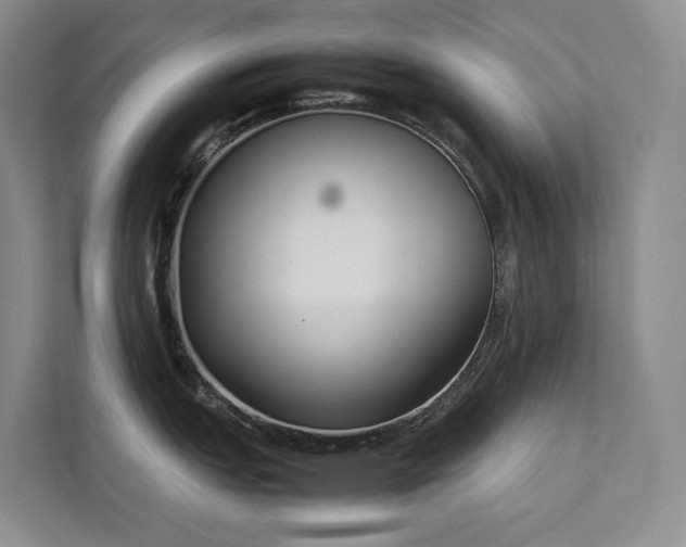 X0000111781151200907231118