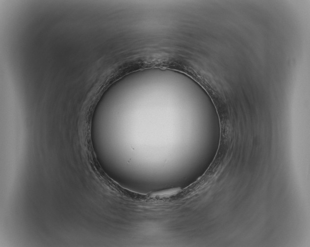 X0000111781153200907231117