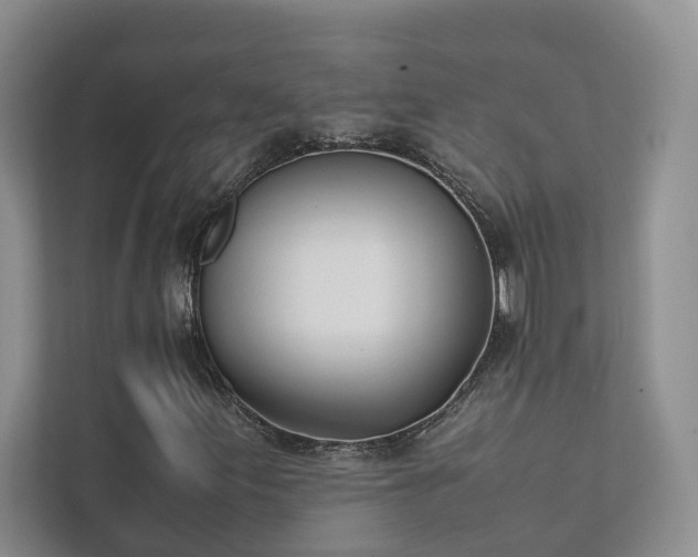 X0000111781155200907231117