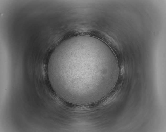 X0000111781156200907231117