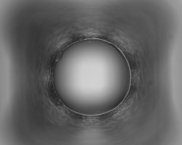 X0000111781157200907231117