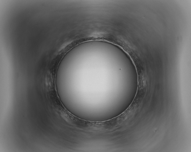 X0000111781158200907231117